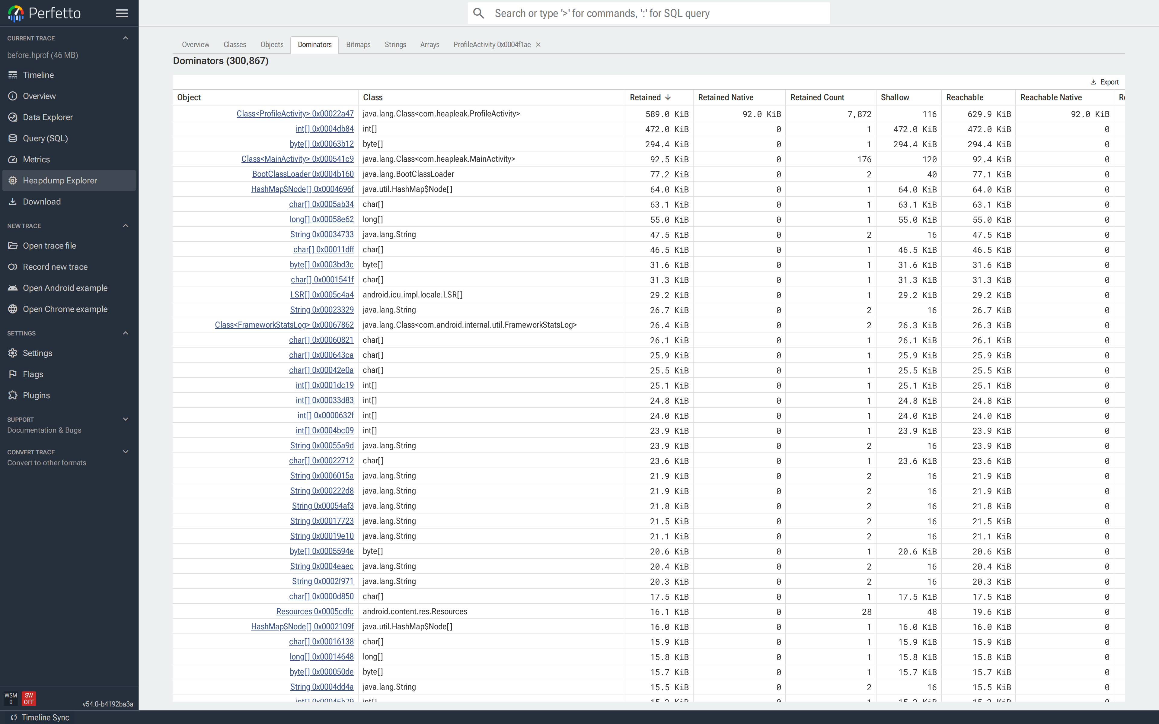 Dominators 标签页按 Retained 排序；`Class<ProfileActivity>`（root 类型 `STATIC`）和一个 `ProfileActivity` 实例靠近顶部，各自保留一个大型子图。